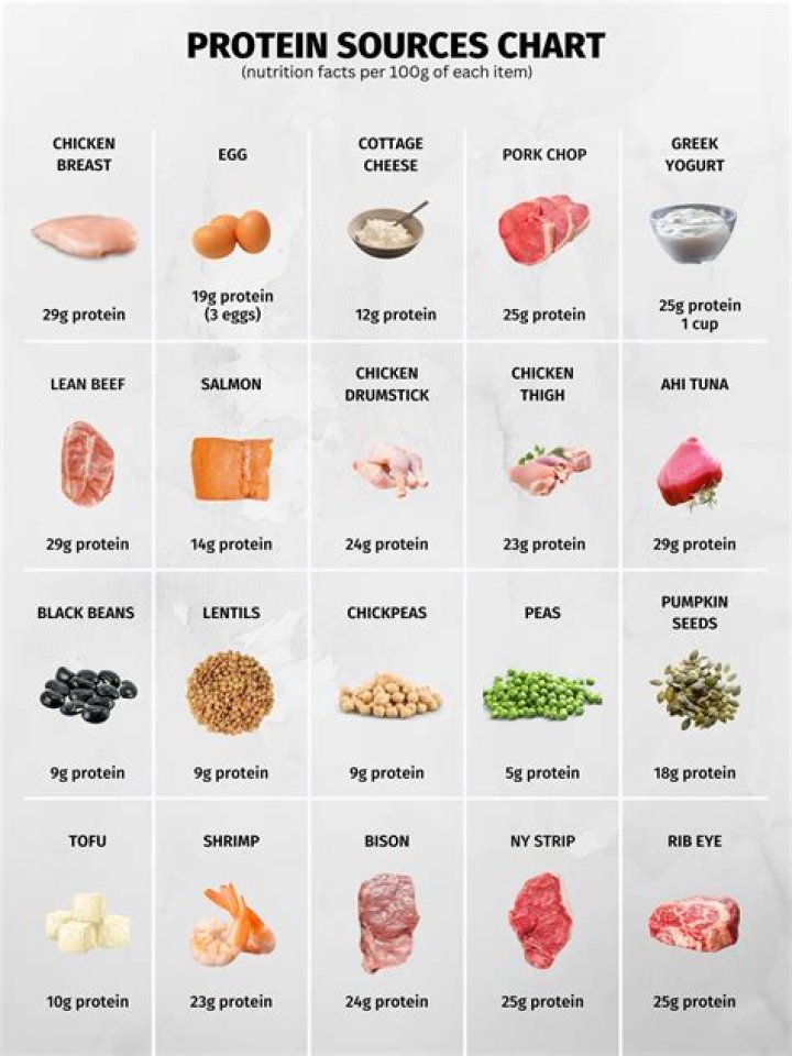 50 Animal Protein Sources PDF – Complete Nutritional Guide