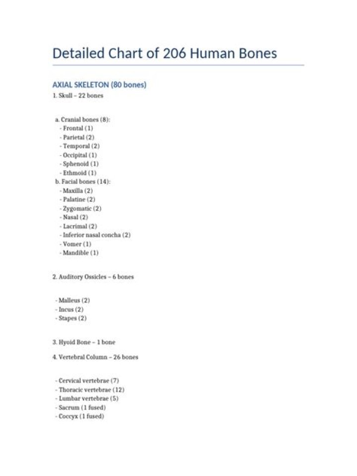 Complete List of 206 Human Body Bones PDF Download