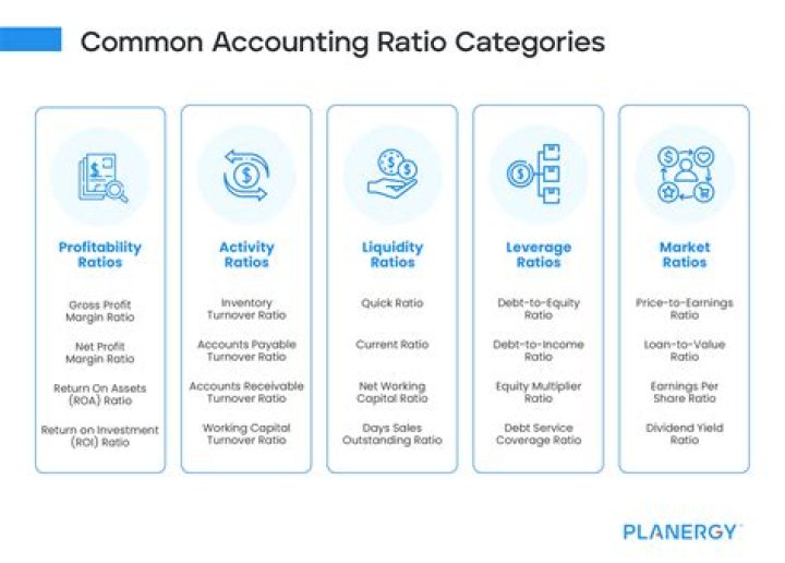 Free List of Essential Accounting Ratios Formulas PDF