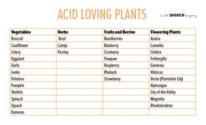 List of Acid-Loving Plants and Vegetables: PDF Guide