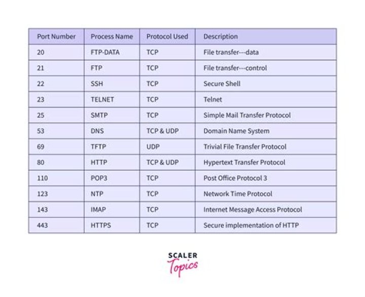 Complete List of All Port Numbers in Networking PDF