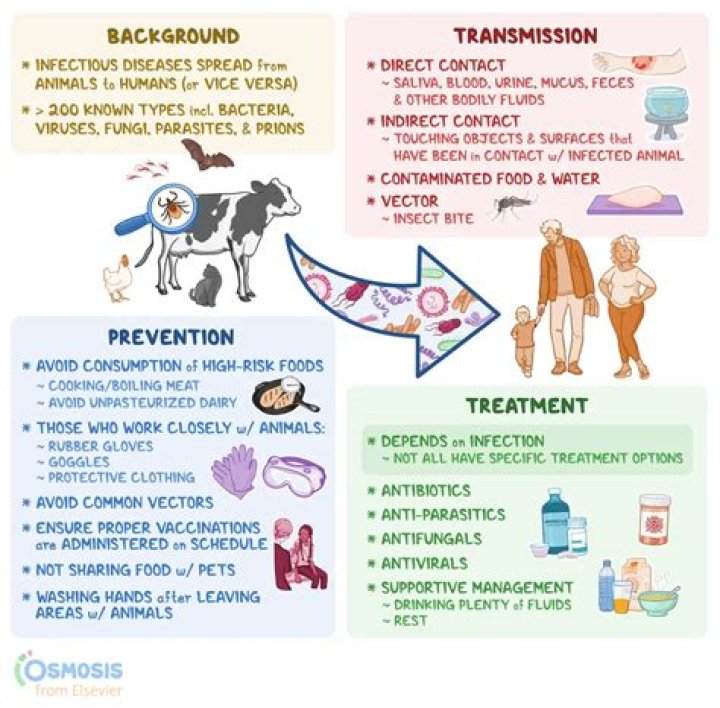 Comprehensive List of Animal Diseases and Their Causes PDF
