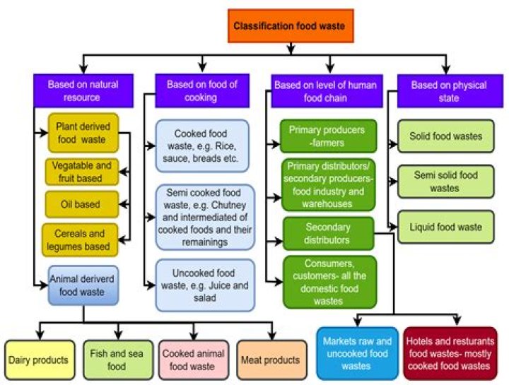 List of Animal Feeds PDF – Complete Guide