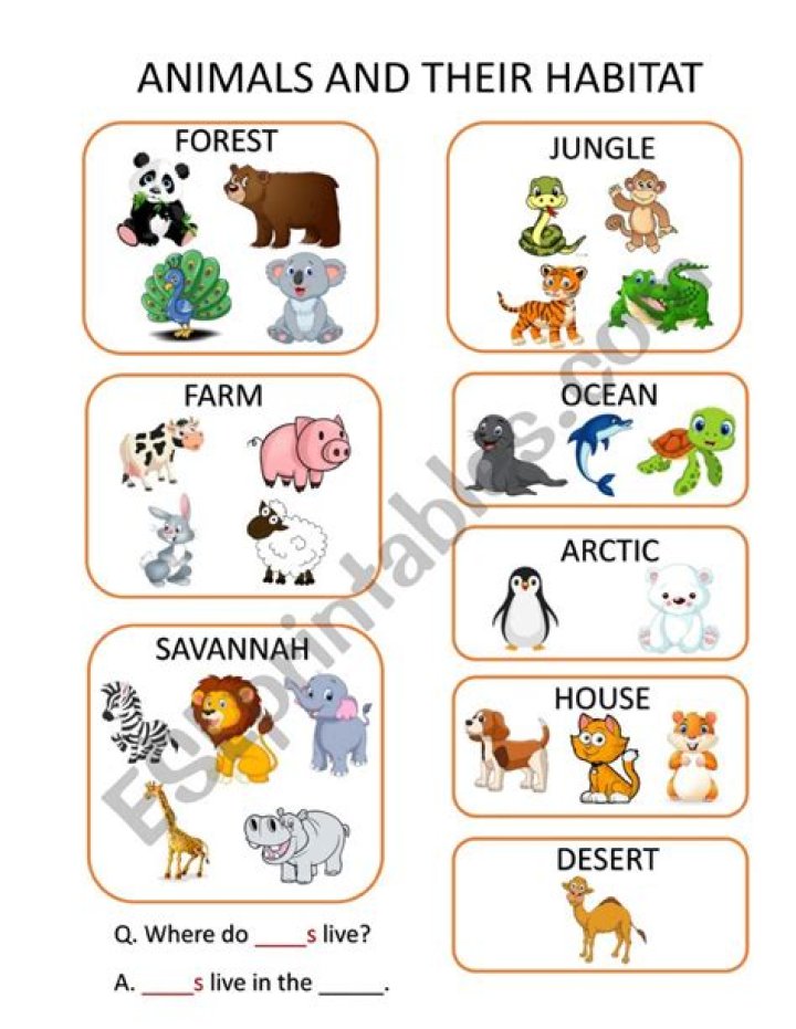Free PDF List of Animals and Their Habitats to Download