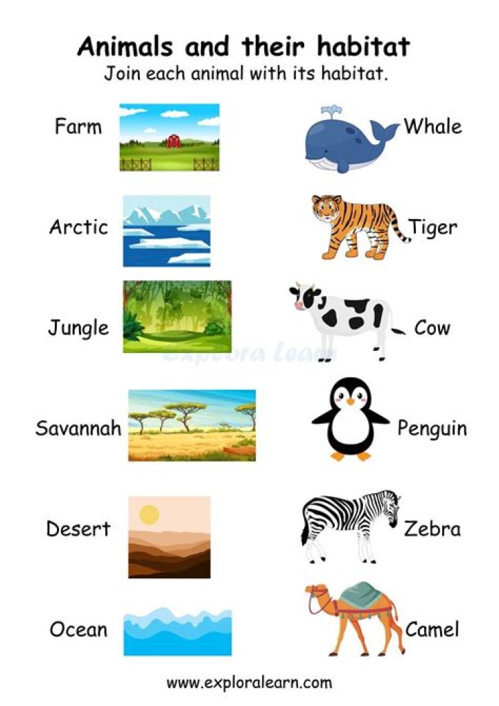 List of Animals and Their Habitats: PDF with Pictures & Facts