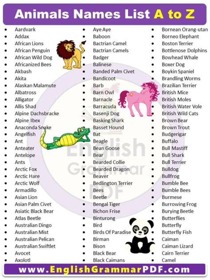 Download Free List of Animals PDF Guide