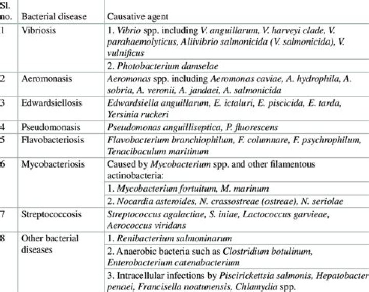 List of Bacterial Plant Diseases: Comprehensive PDF Guide