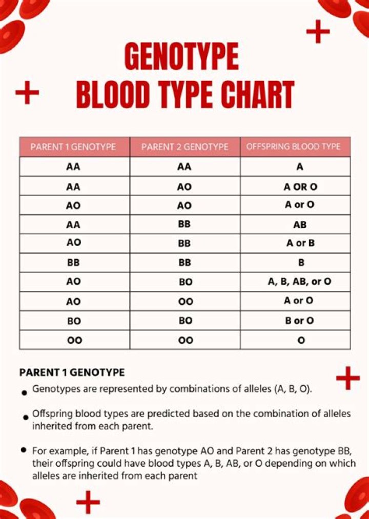 Complete List of Blood Types and Their Genotypes PDF Download