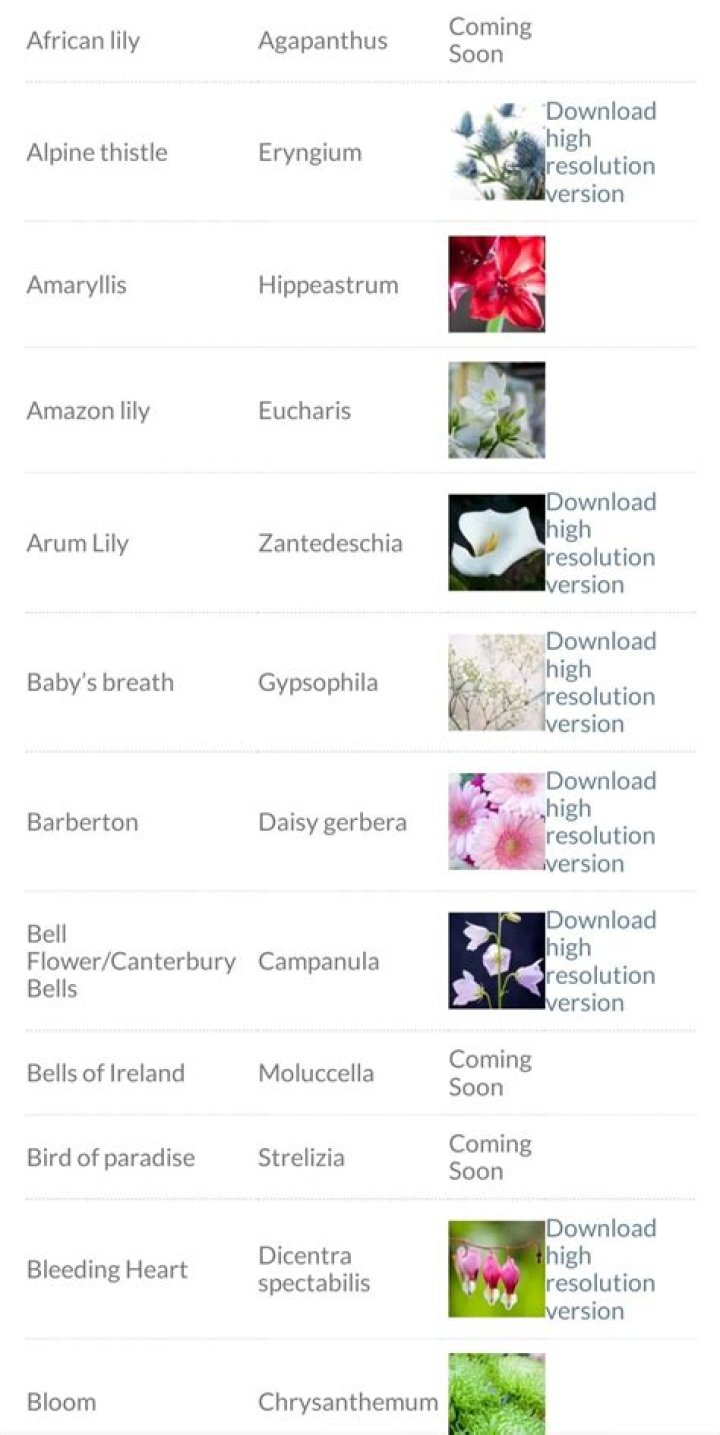 List of Botanical Names for Common Plants PDF Guide