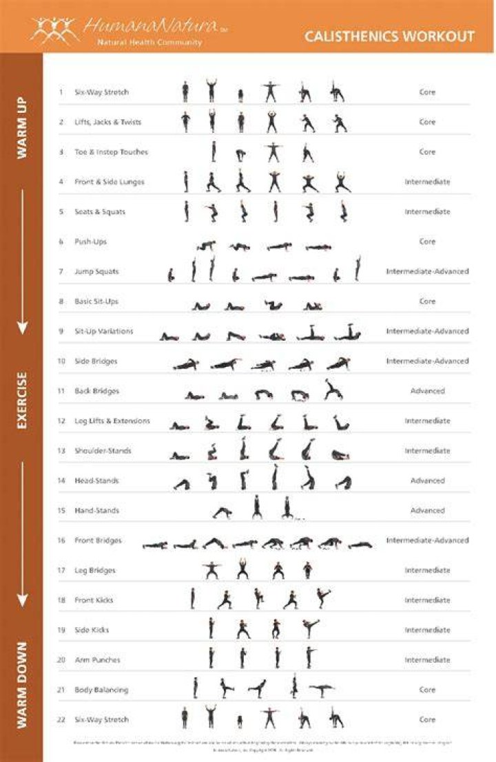 Complete List of Calisthenic Exercises PDF – Free Download