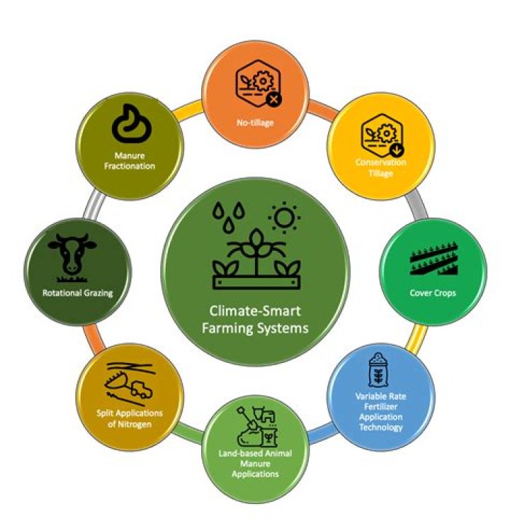 List of Climate-Smart Agriculture Practices PDF: Essential Guide