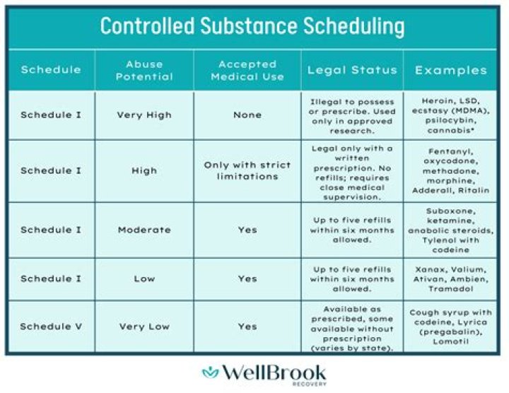 Controlled Drugs on Ships: Official List PDF Download