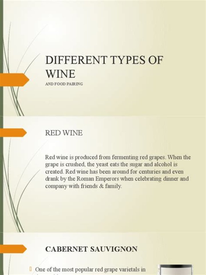 List of Different Types of Wine PDF Guide