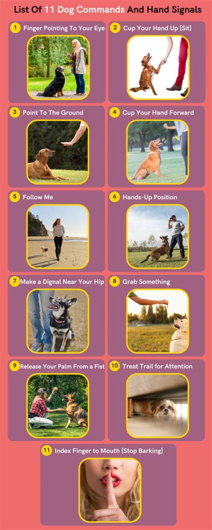 Essential List of Dog Commands and Hand Signals PDF – Easy Training Guide