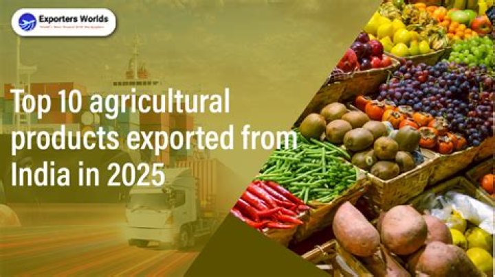 List of Exporters in Mumbai PDF – Full Downloadable Guide