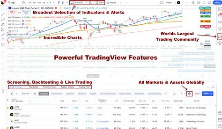 List of Fake Trading Websites PDF – Avoid Scams