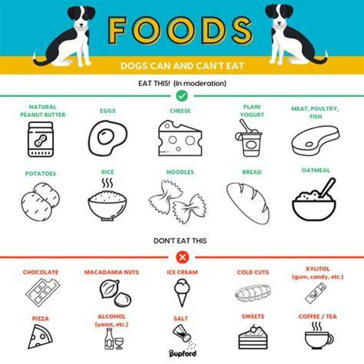 Dangerous Foods for Dogs: Essential PDF List to Keep Your Pet Safe