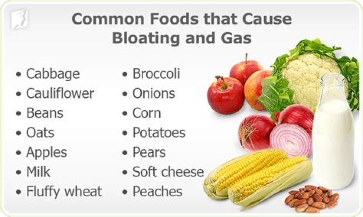 Top Foods That Cause Gas and Bloating – Essential PDF Guide