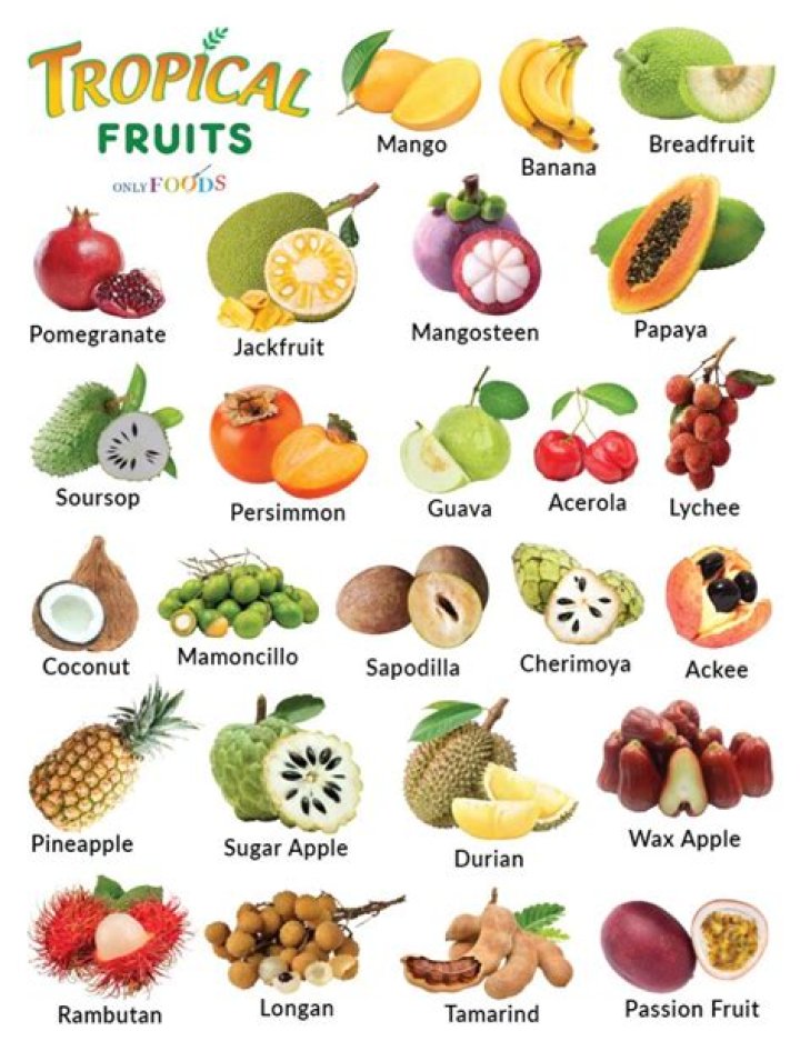Free List of Fruits with Pictures PDF – Easily Download
