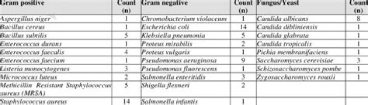 Complete List of Gram-Negative Bacteria and Their Diseases PDF