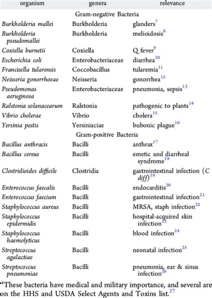 Gram-Positive Bacteria List & Associated Diseases PDF – Complete Reference