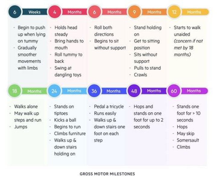 Free List of Gross Motor Activities PDF for Kids & Kids' Therapy