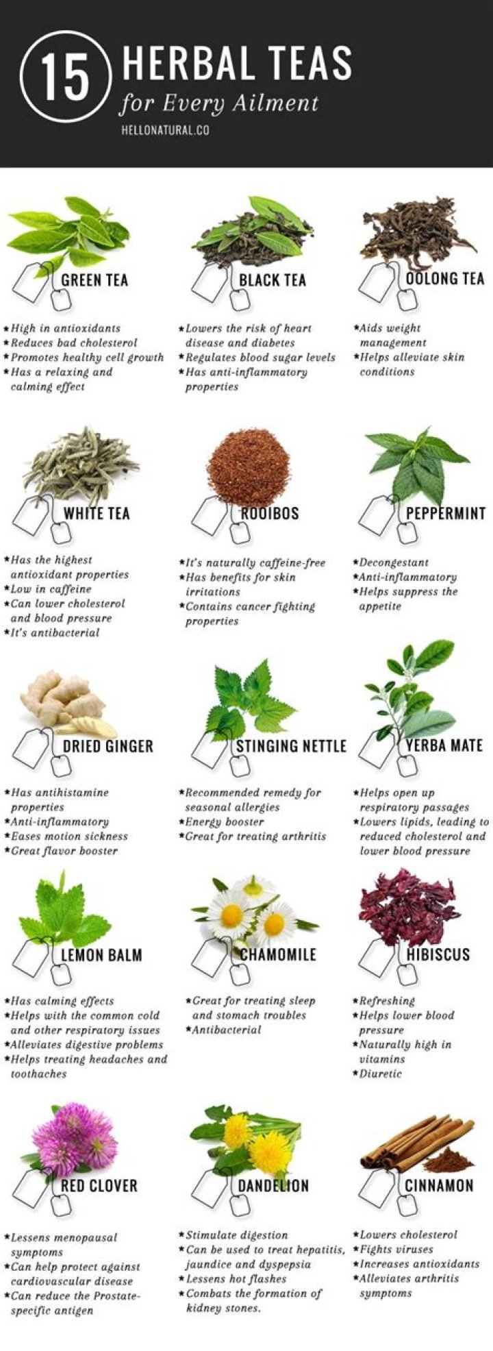 List of Herbal Teas and Their Medicinal Uses PDF – Natural Remedies Explained