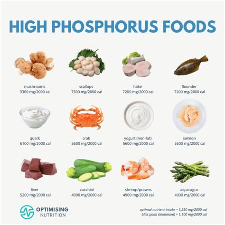 Top High Phosphorus Foods List PDF – Complete Nutrient Guide
