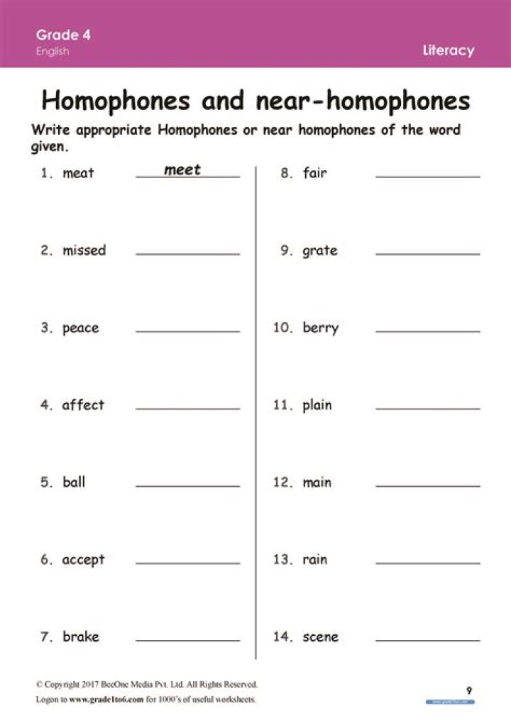 Free List of Homophones for Grade 3 PDF – Easy Learning Tool