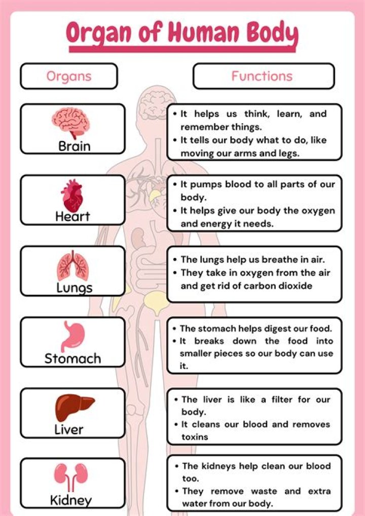 Complete List of Human Body Parts and Their Functions PDF