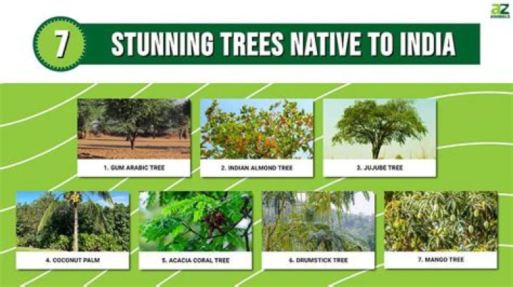 Indian Trees List with Pictures PDF – Detailed Guide