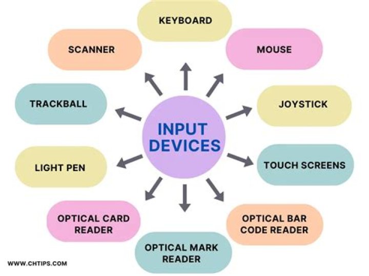 Comprehensive List of Input and Output Devices PDF Guide