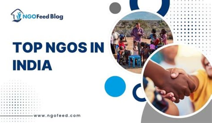 List of International NGOs in India PDF – Comprehensive Resource