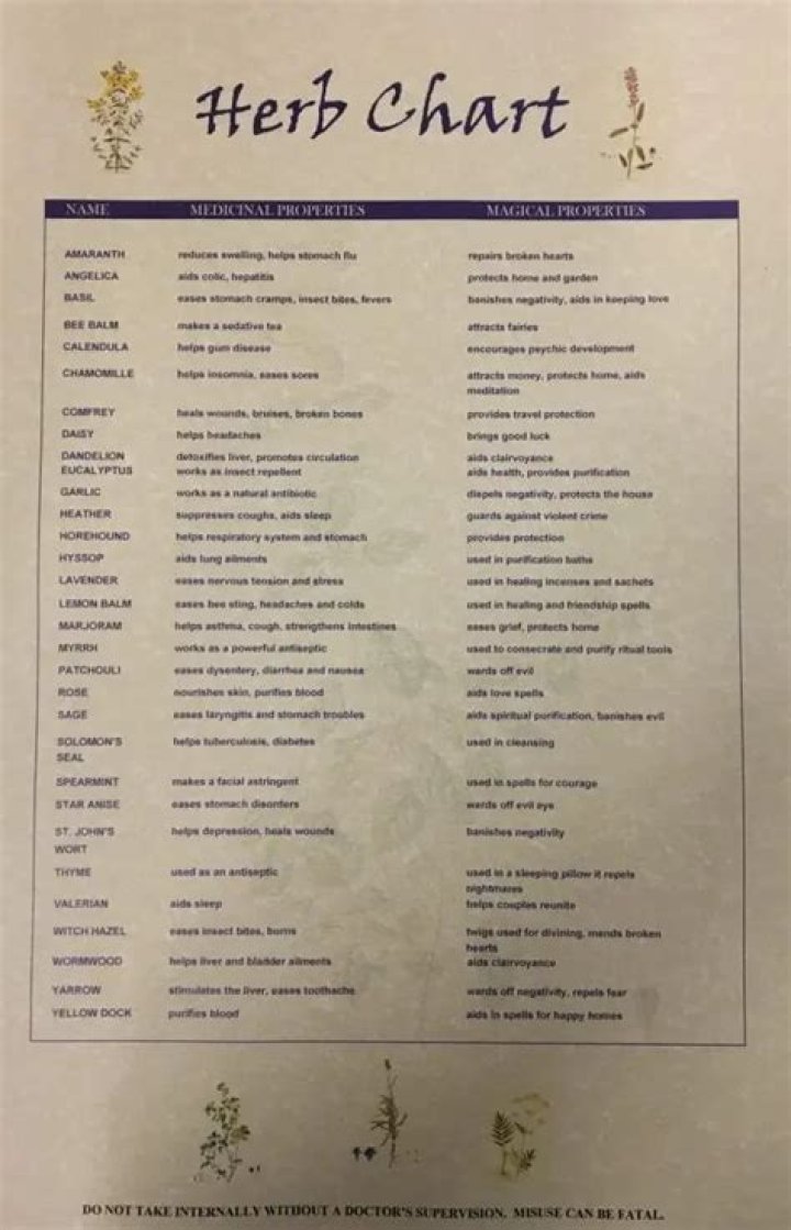 List of Magical Herbs and Their Uses PDF – Complete Guide
