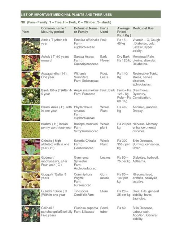 Comprehensive List of Medicinal Plants in Ethiopia PDF – Free Resource