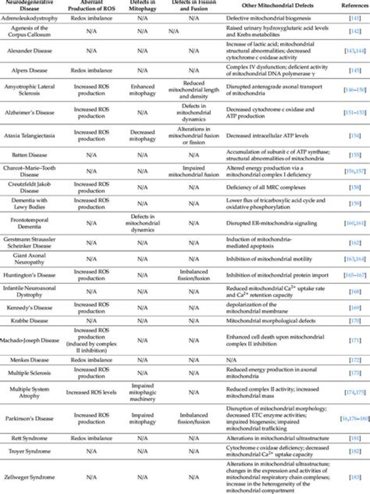 List of Neurodegenerative Diseases PDF – Comprehensive Guide