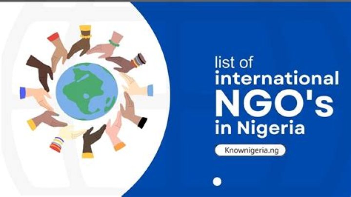 List of NGOs in Nigeria PDF: Key Organizations & Humanitarian Resources