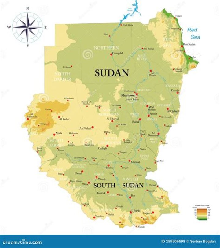 List of NGOs in South Sudan PDF – Essential Resources for Aid and Development