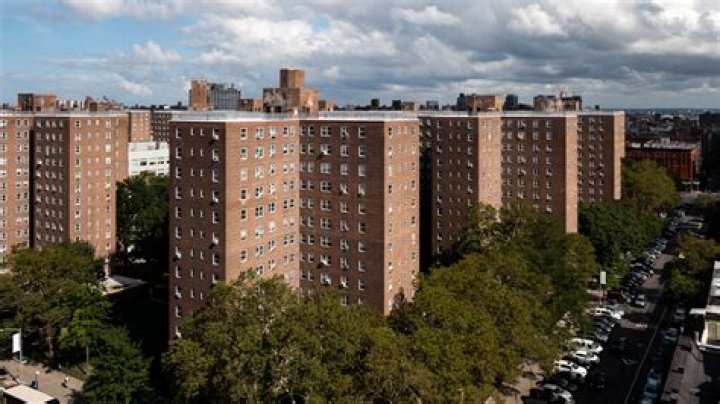 NYCHA Developments in Brooklyn: Essential PDF List