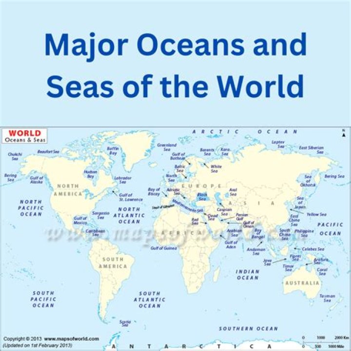 Complete List of Oceans and Seas in the World PDF Guide