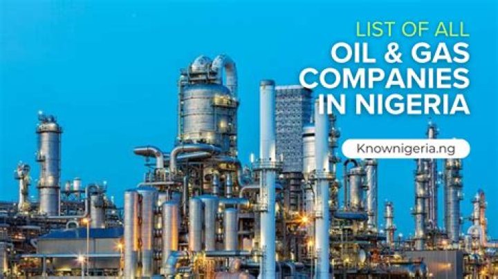 Comprehensive List of Oil and Gas Companies in Nigeria PDF
