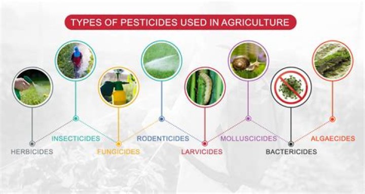 List of Pesticides Used in Indian Agriculture PDF: Essential Reference
