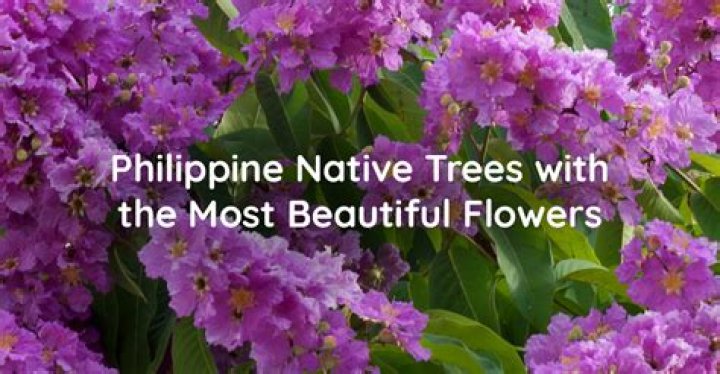 Free PDF List of Philippine Native Trees