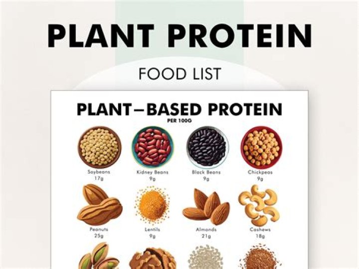 Top Plant-Based Protein PDF: Complete List & Nutritional Guide