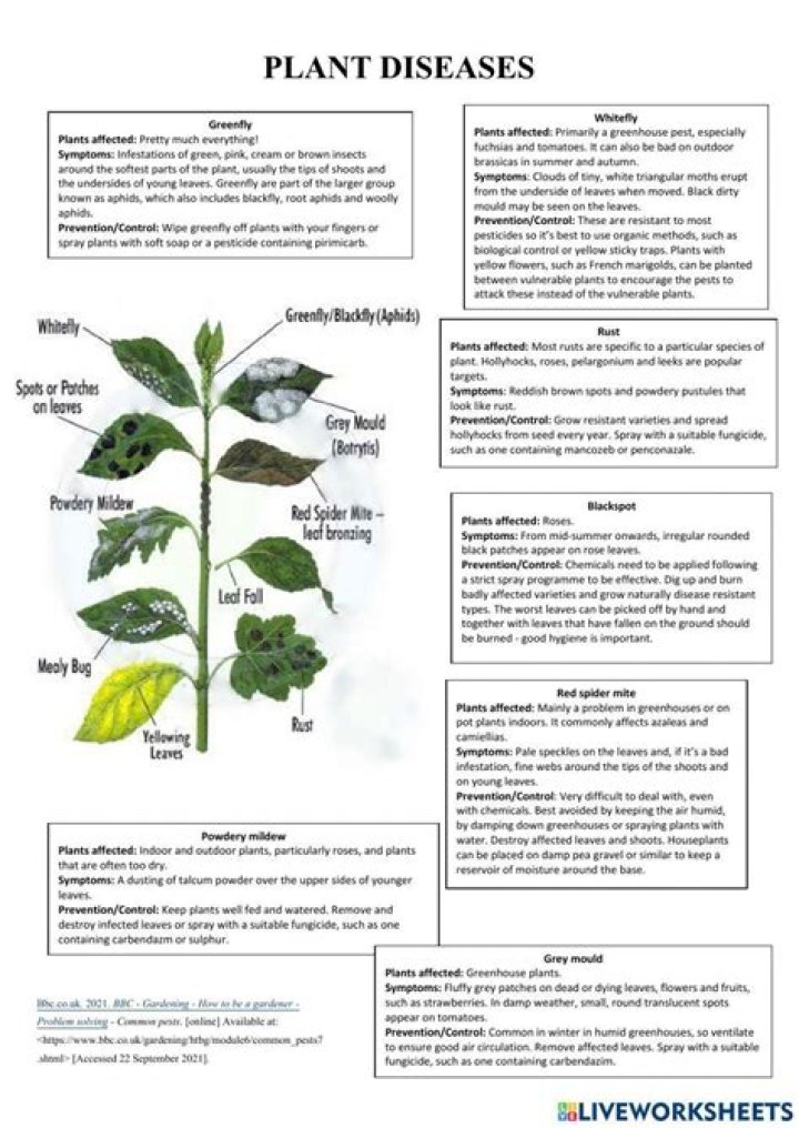 Free PDF List of Common Plant Diseases – Download Now
