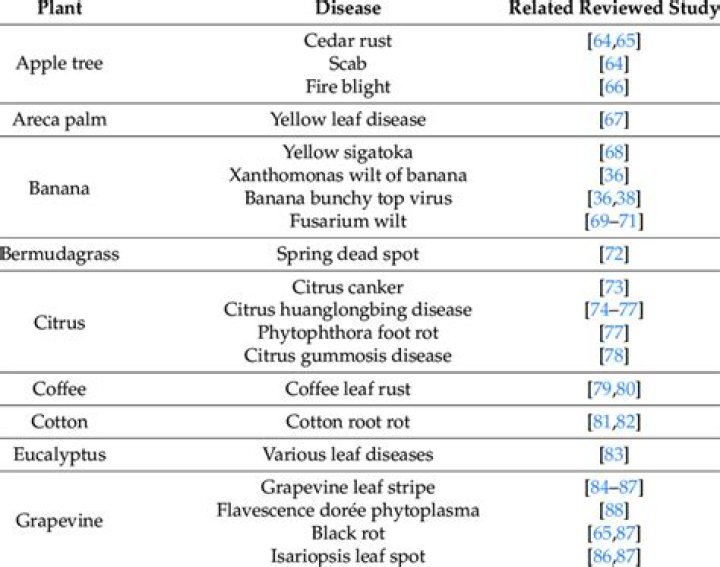 Complete List of Plant Diseases PDF – Free Download