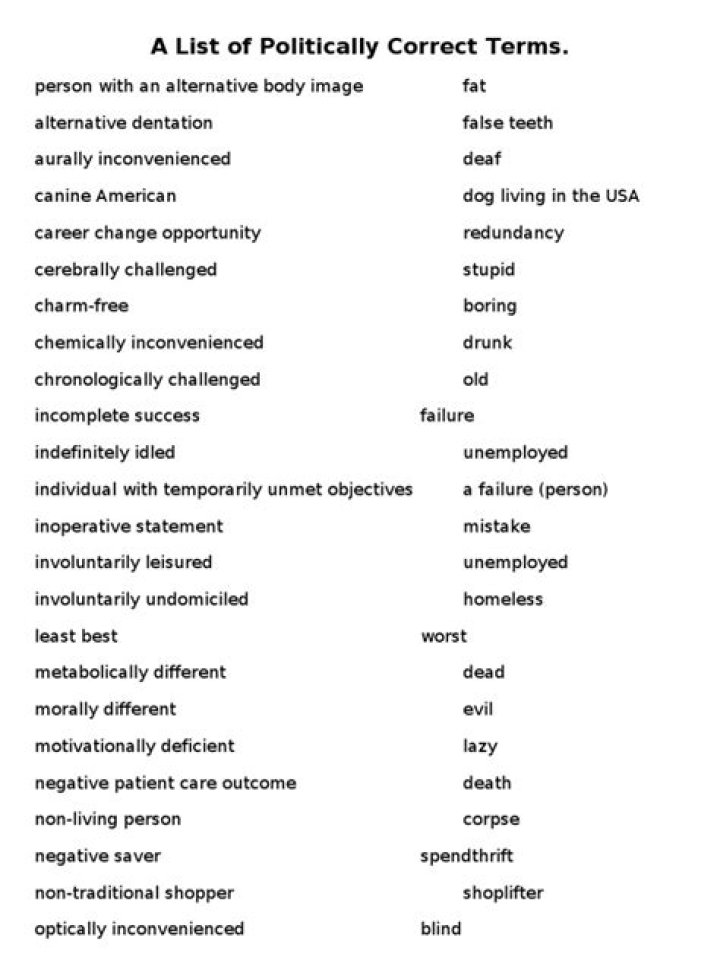 Complete List of Politically Correct Terms PDF for Professional Use