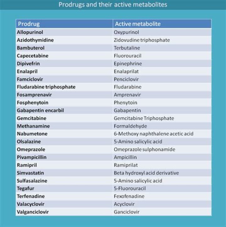 Comprehensive List of Prodrugs PDF – Free Download