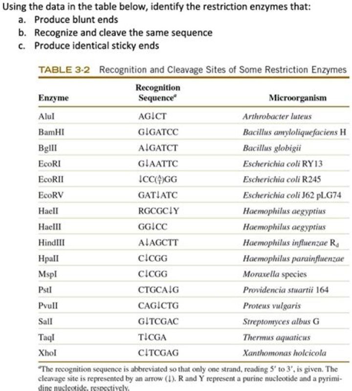 Free PDF List of Restriction Enzymes for Molecular Biology