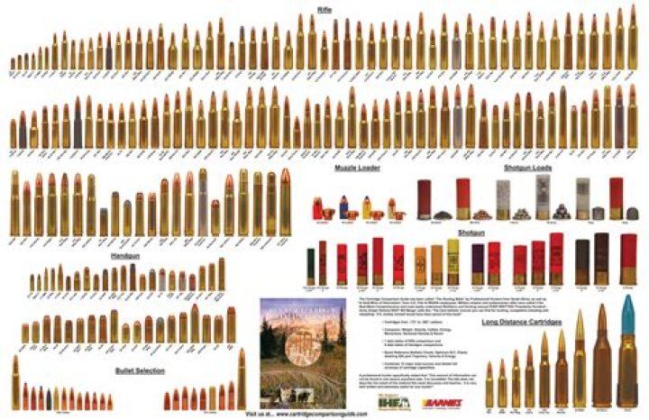 Illinois Rifle Caliber List: Legal Firearms PDF Guide